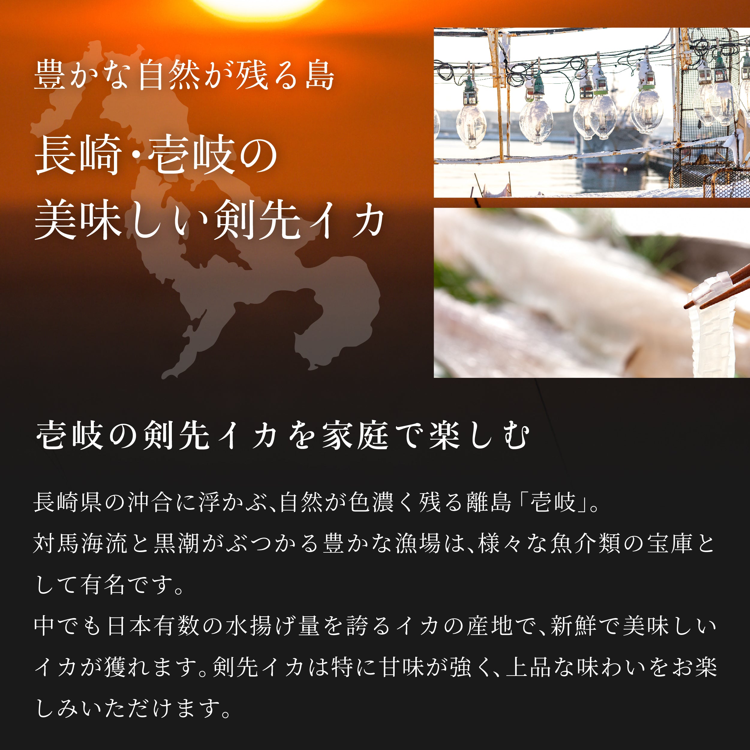 長崎県産剣先イカ 一夜干し<110g×3>