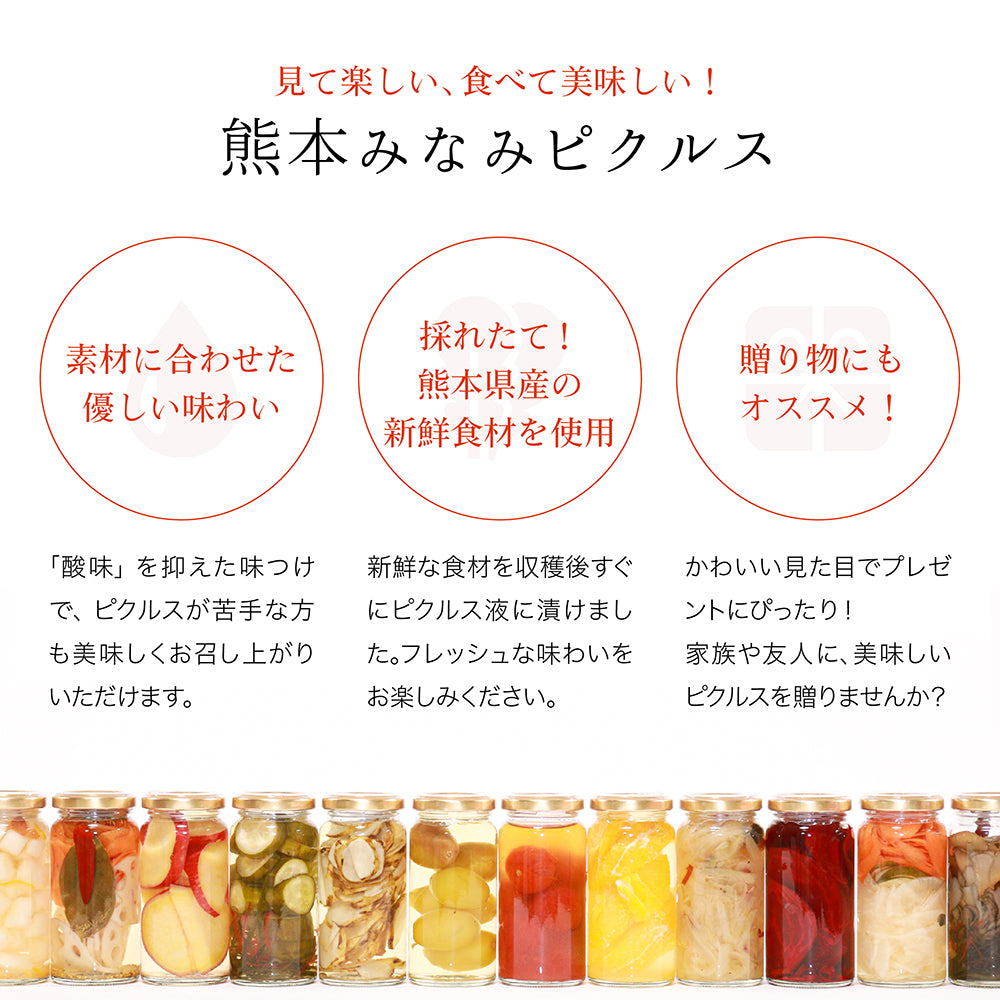 【熊本お取り寄せ】熊本みなみピクルス/おつまみギフト4本セット<送料無料>