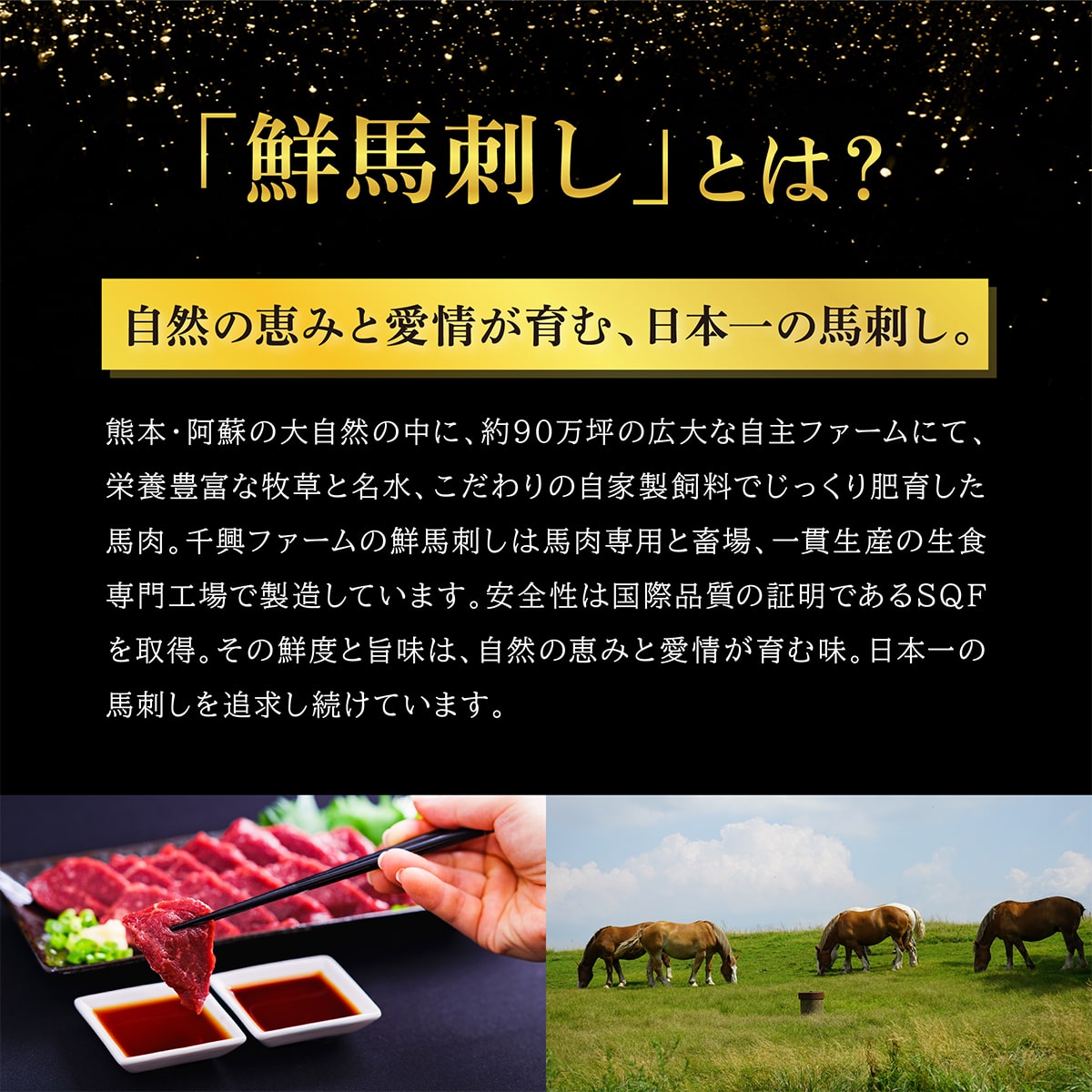 鮮馬刺し3種バラエティセット<送料無料>