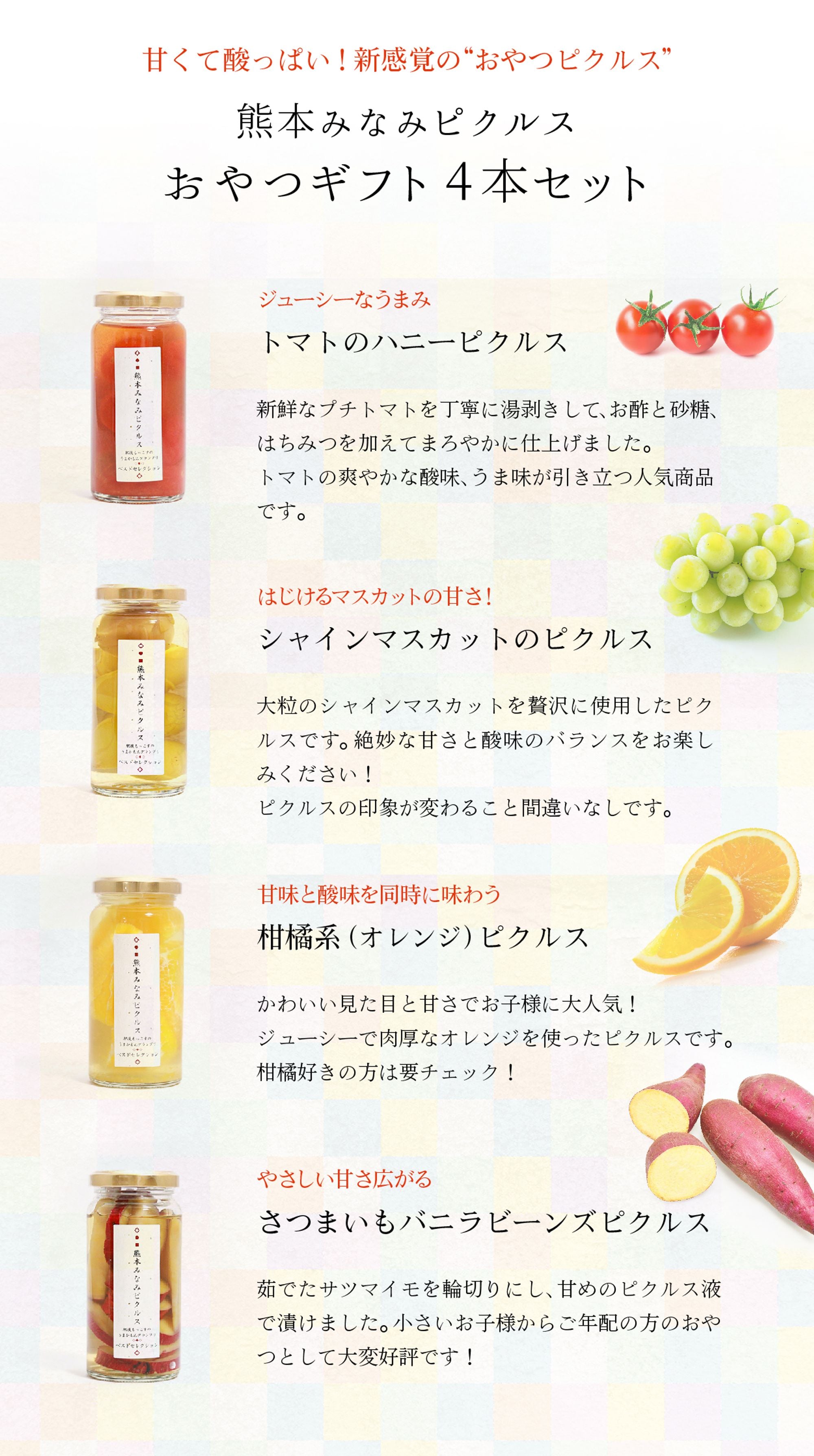 【熊本お取り寄せ】熊本みなみピクルス/おやつギフト4本セット<送料無料>