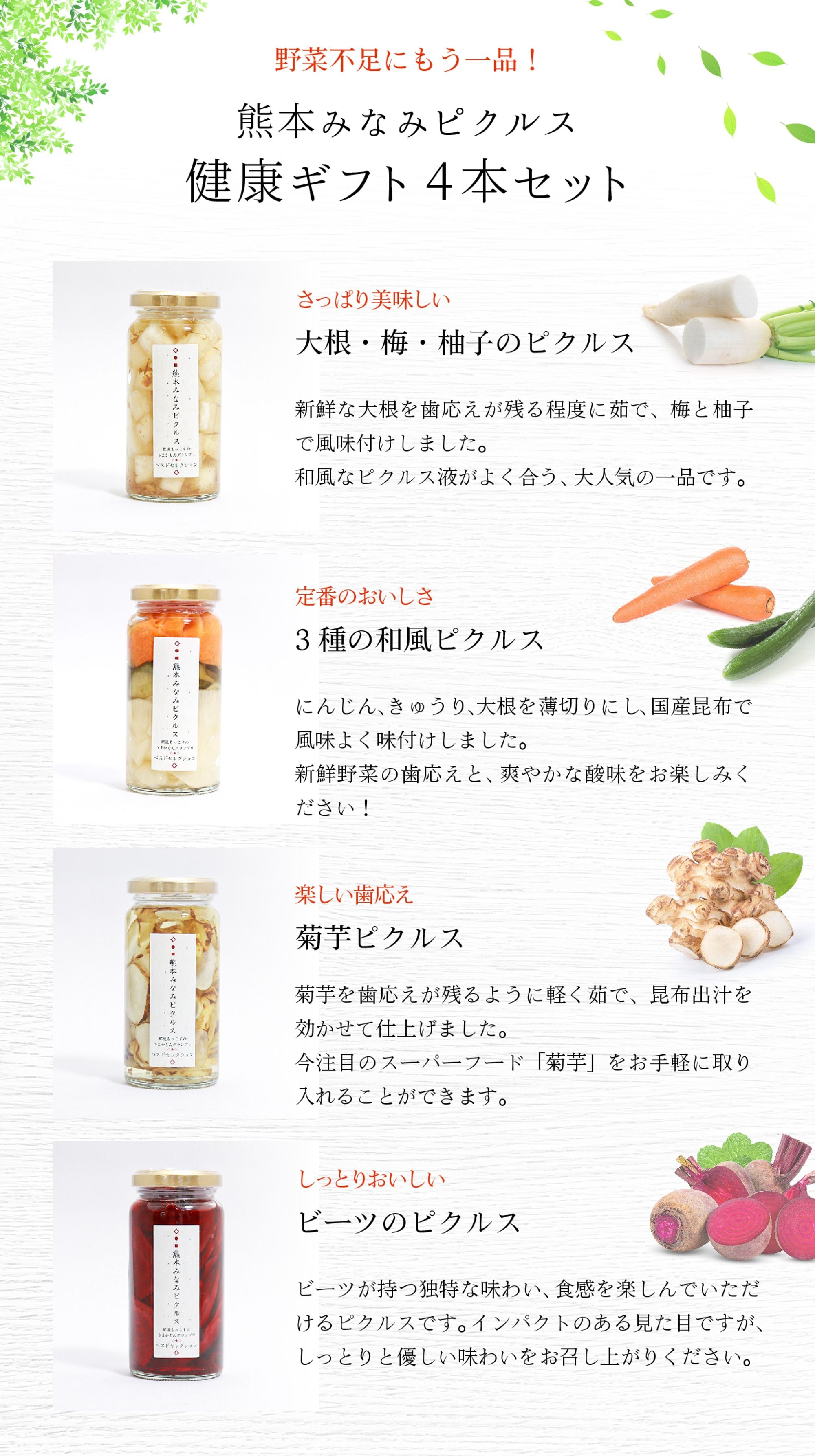 【熊本お取り寄せ】熊本みなみピクルス/健康ギフト4本セット<送料無料>