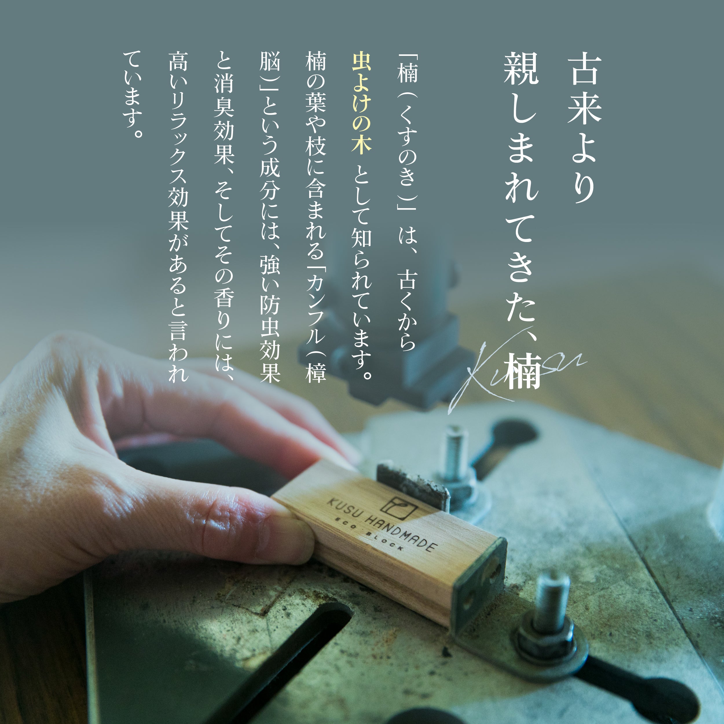 エコブロック12個セット<カンフルオイル付き/桐箱入り>