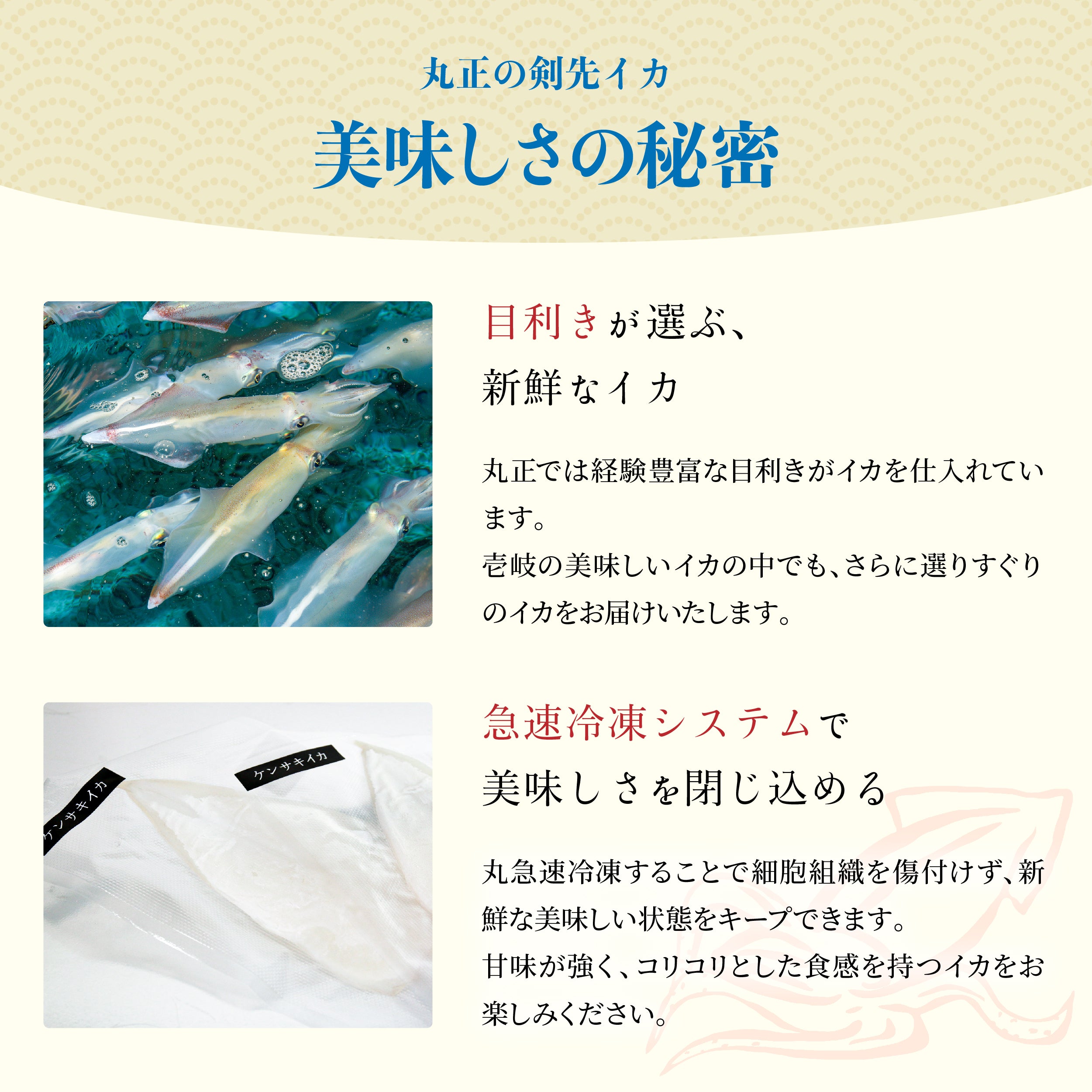 長崎県産剣先イカ生食(刺身)用<130g×3>