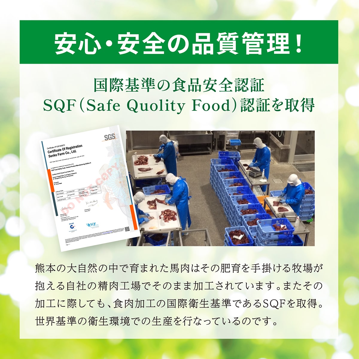 【熊本名物グルメ】馬ホルモンの味噌煮込み(3個セット)<送料無料>