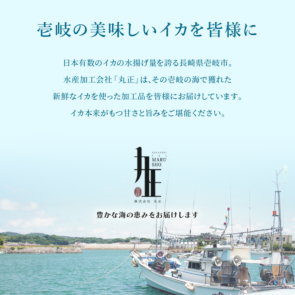 長崎県産スルメイカ生食(刺身)用<210g~250×3>