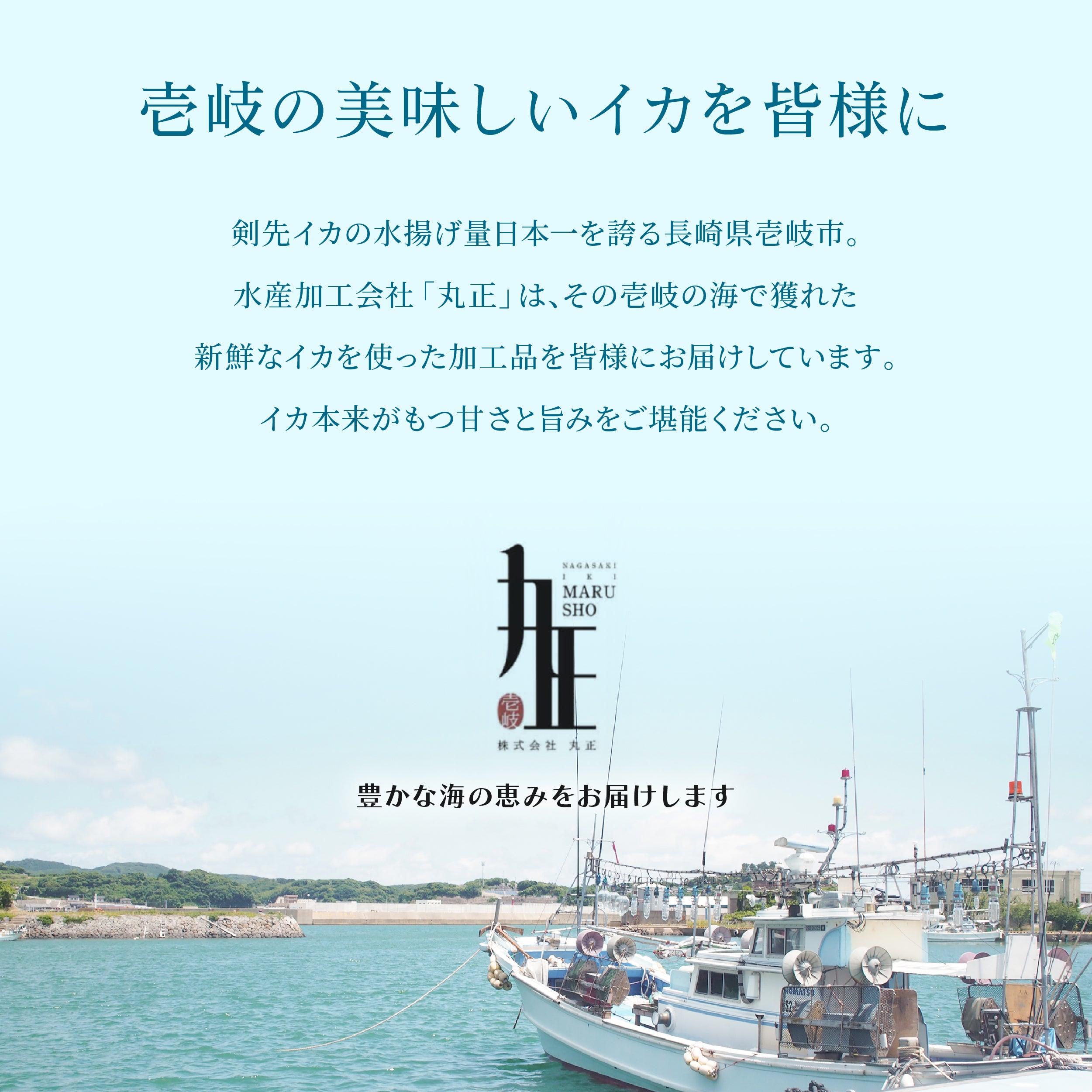 長崎県産剣先イカ 一夜干し<110g×3>